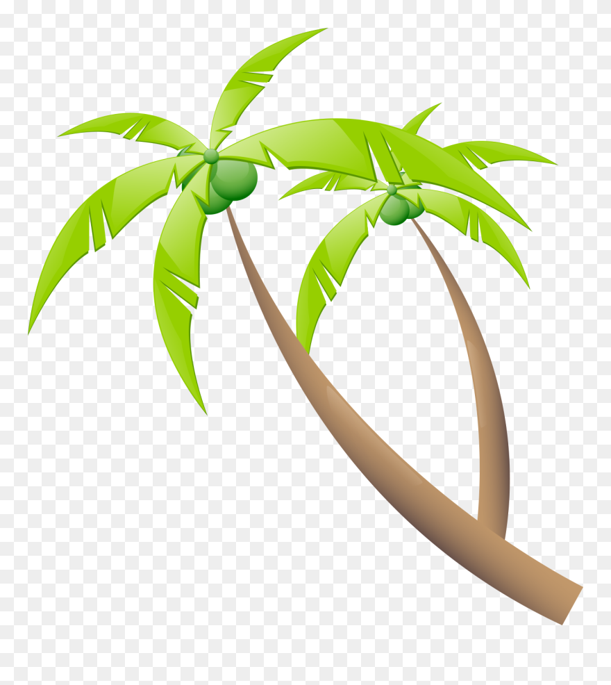 Plants Suef Portable Summer Governorate Photography Clipart