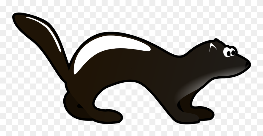 Ferret Clip Art - European Polecat - Png Download