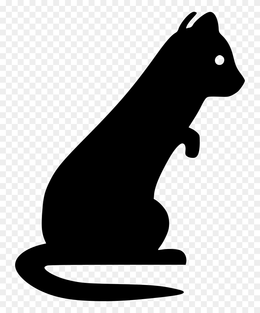 Whiskers Weasels Ferret Cat Pet - Ferret Clipart