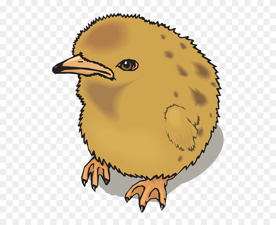 Baby, Farm, Bird, Chick, Animal, Fuzzy - Fuzzy Clipart - Png Download
