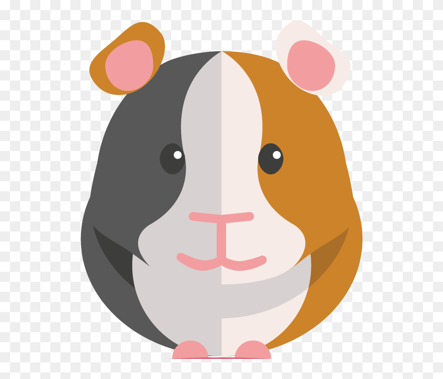Transparent Guinea Pig Clipart - Transparent Background Guinea Pig Clipart - Png Download