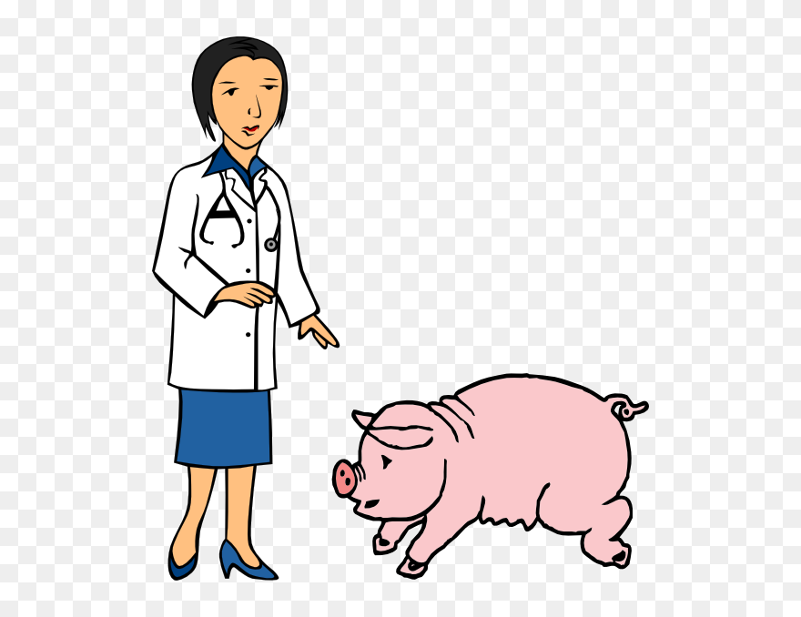Clipart Of Veterinary, Pig At And Docotor , Png Download - Influenza Transparent Png