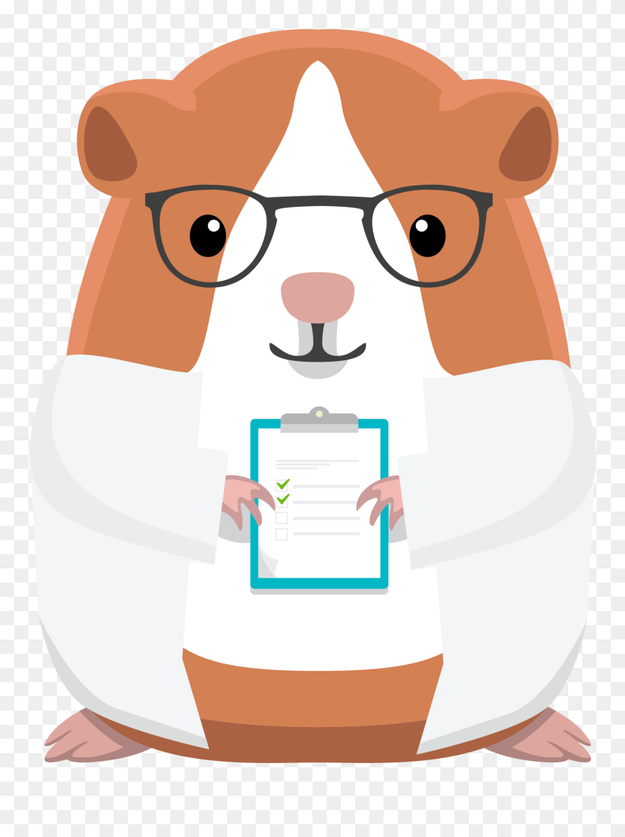 Hamster Animated Clipart
