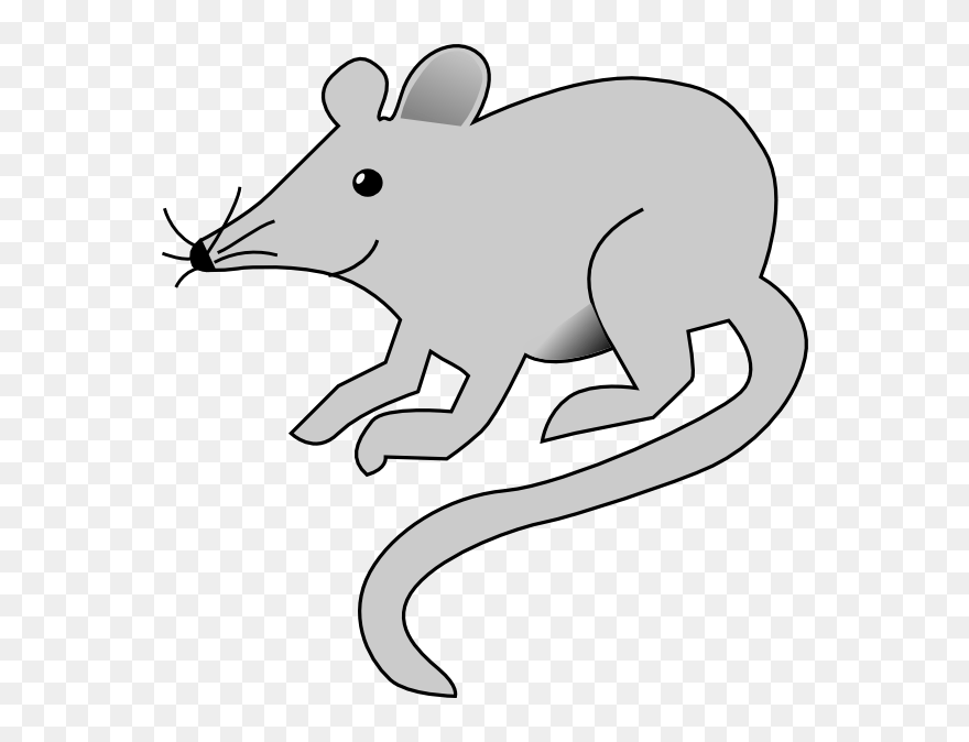Free Rat Clipart - Mouse Clip Art - Png Download