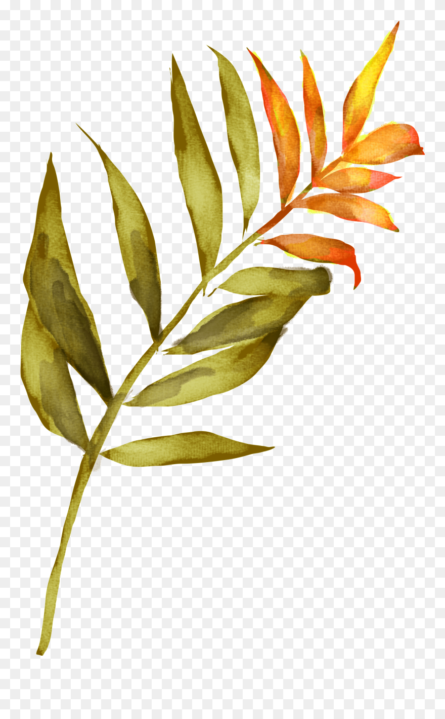 Transparent Fingerprints Clipart - Watercolor Painting - Png Download