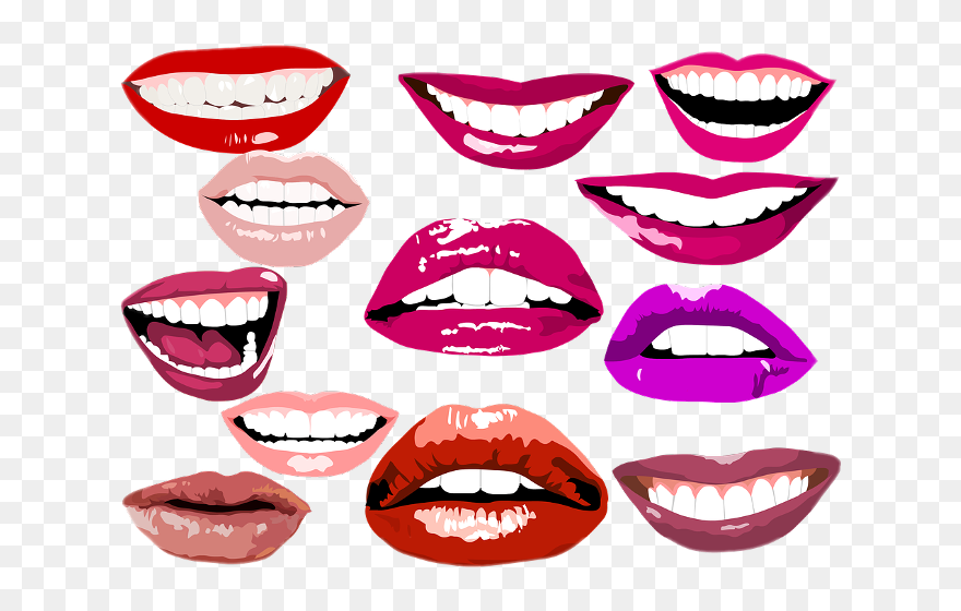 Teeth Types Clipart