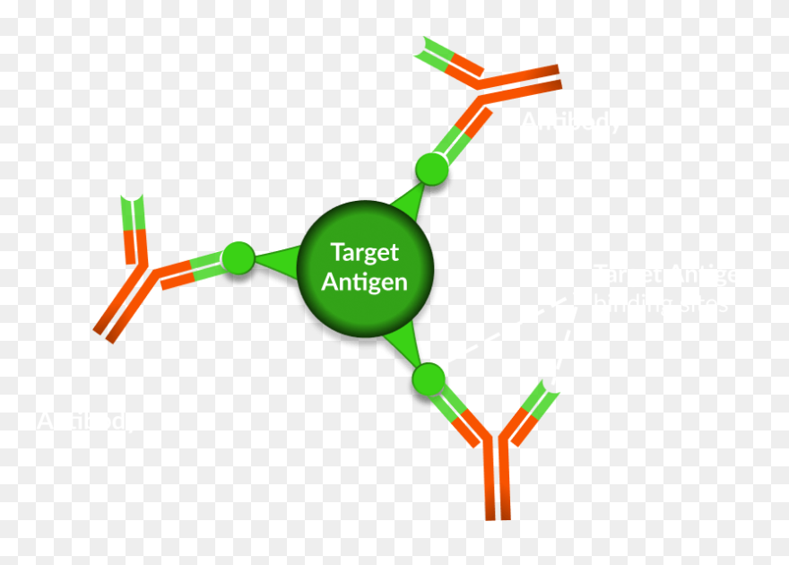 Clip Art - Png Download