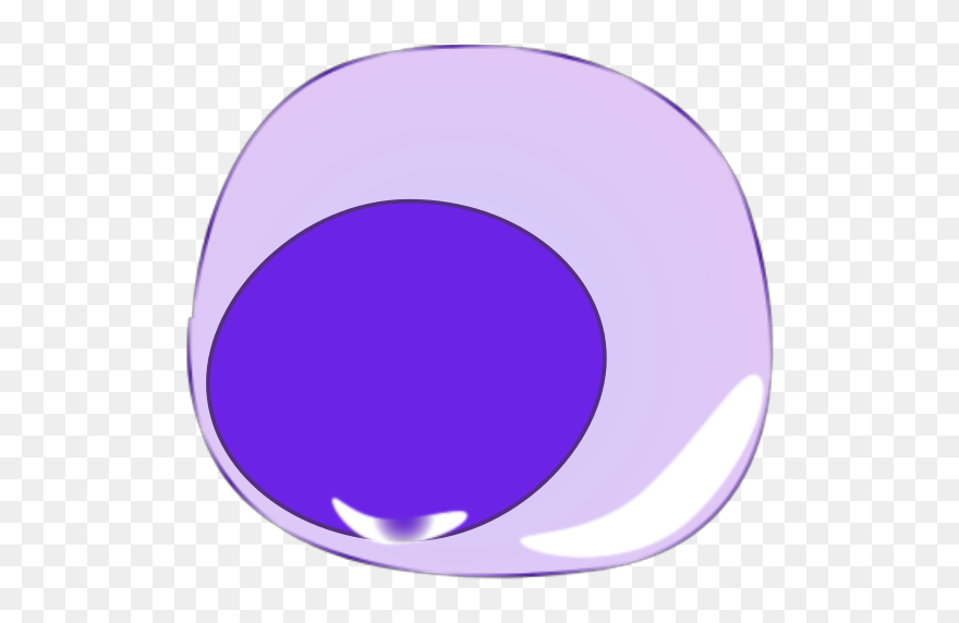 Lymphocyte B Antibody Secretion Blue Svg Clip Arts - Renard - Png Download