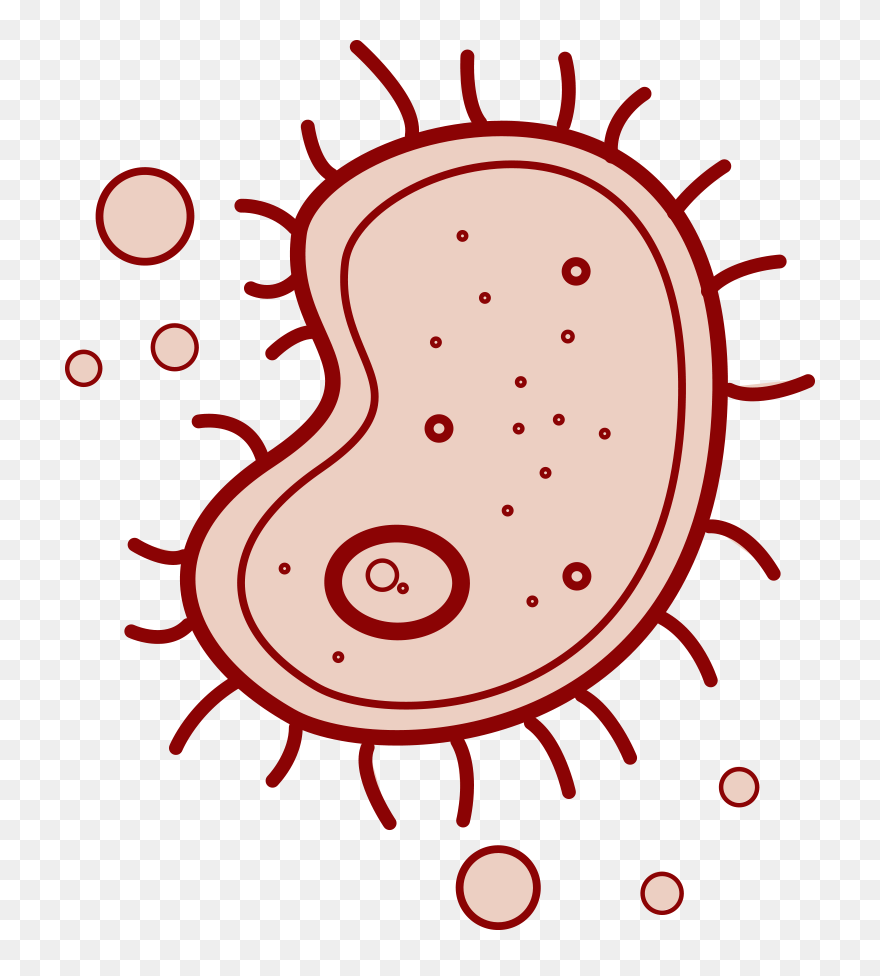 Germ Clipart Antibody - Easy Turtle Vsco Girl Drawing - Png Download