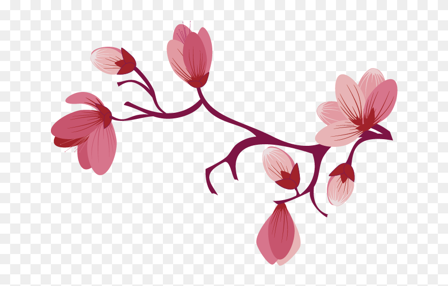Sakura Png - Sakura Flower Png Clipart