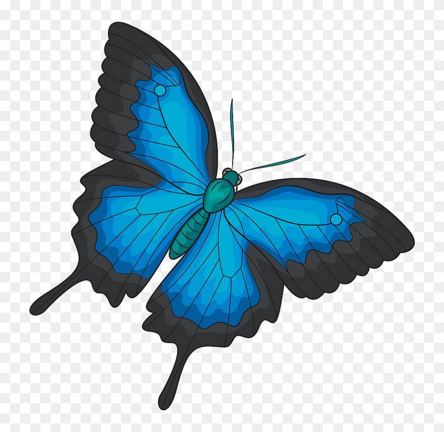 Ulysses Butterfly Clipart - Ulysses Butterfly - Png Download
