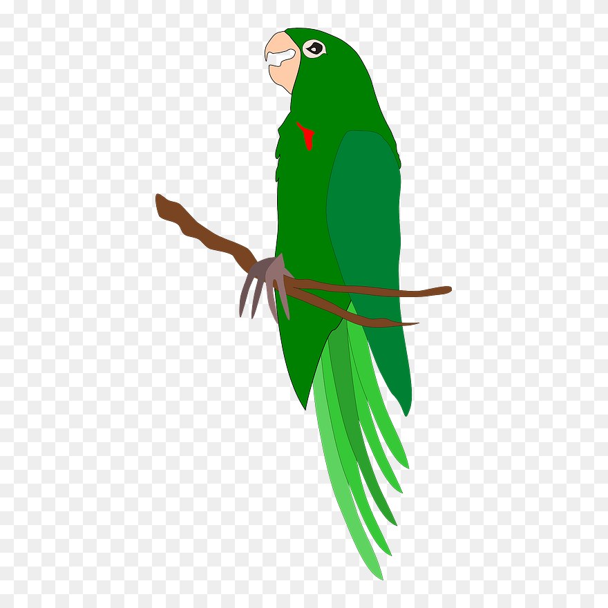 Parrot On Branch Clipart - Png Download