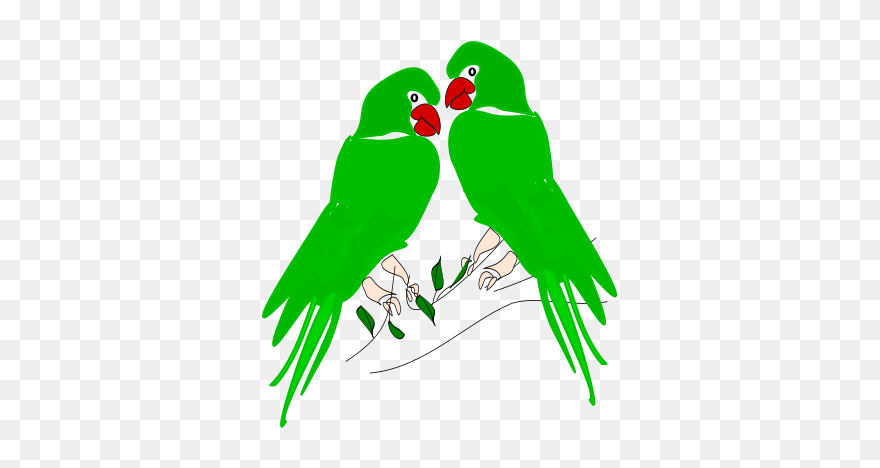 Parrot - Parrots Clipart