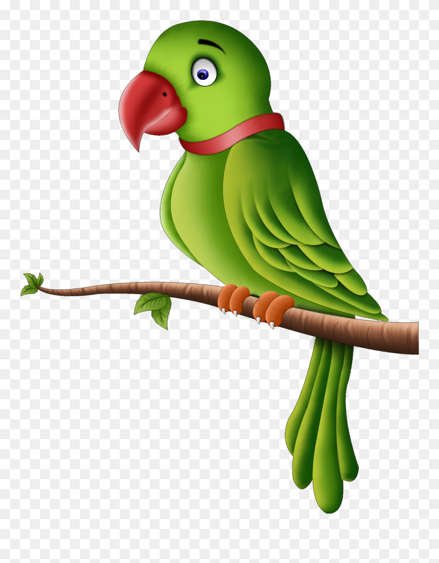 Transparent Flying Parrot Png - Clip Art Of Parrot