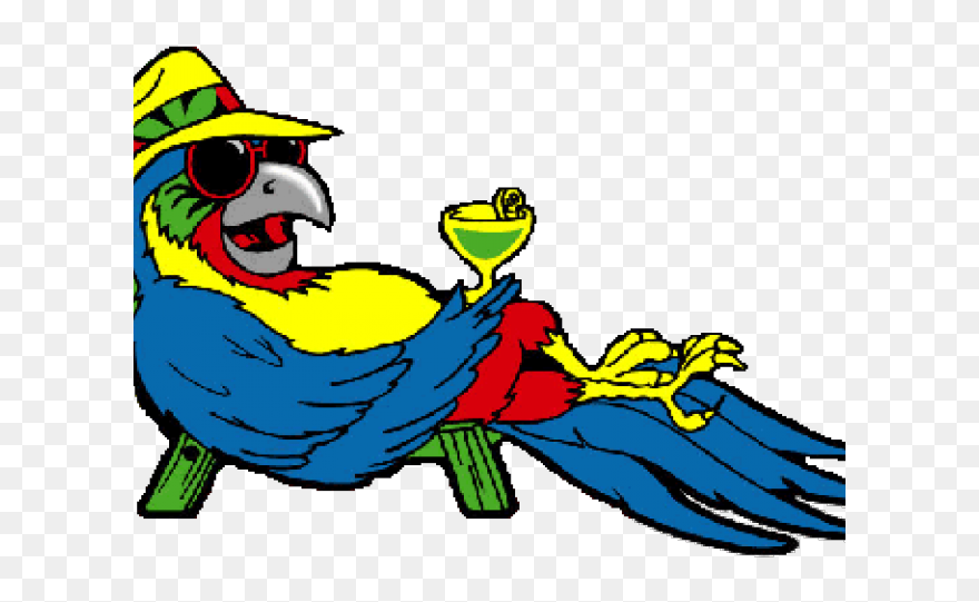 Cartoon Pictures Of Parrots - Jimmy Buffett Parrot Clipart