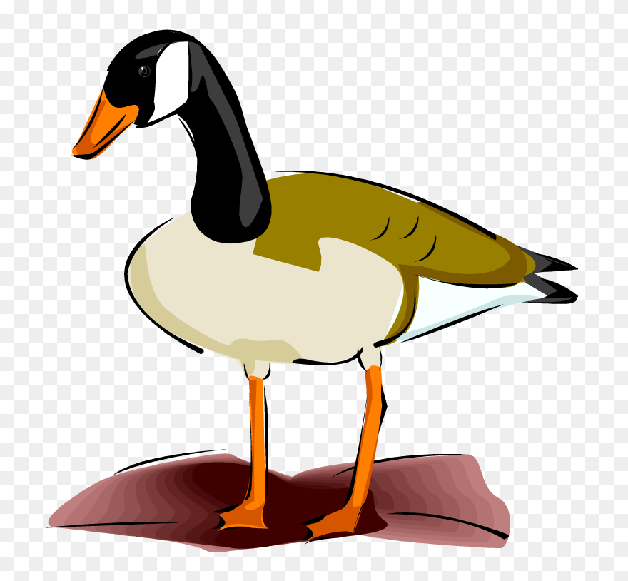Duck Clipart