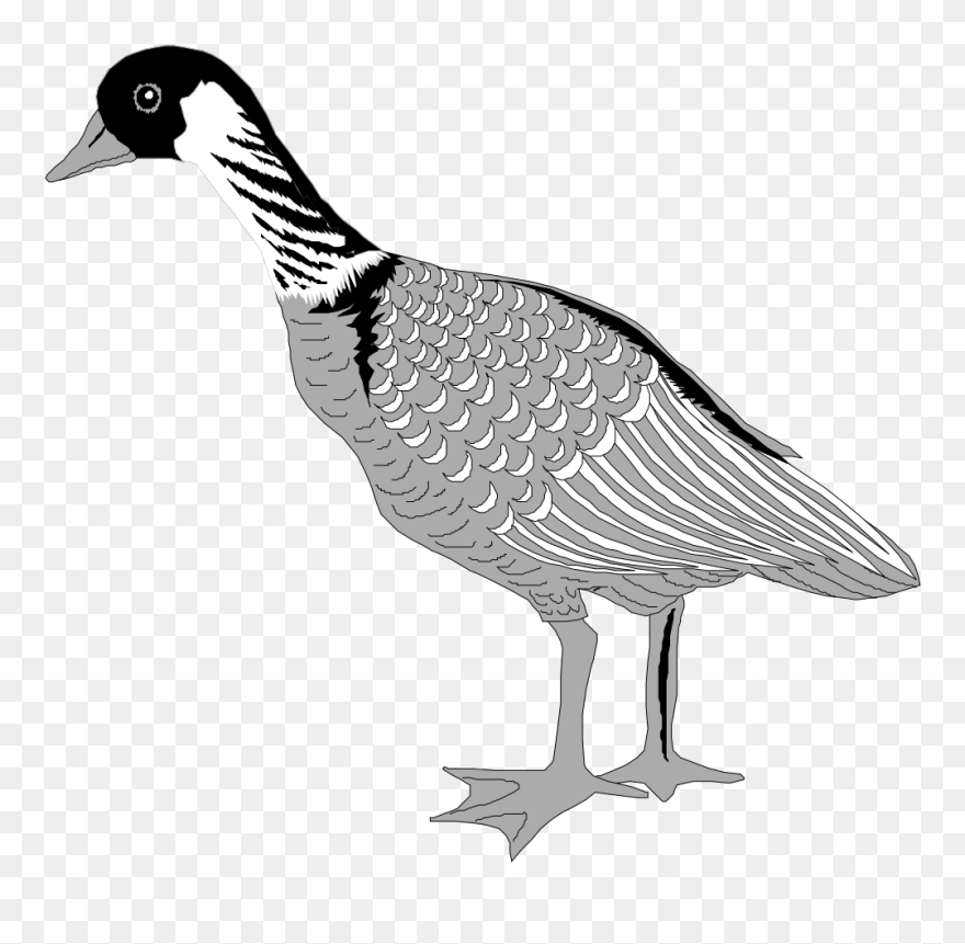 Grayscale Goose Svg Clip Arts - Greylag Goose - Png Download