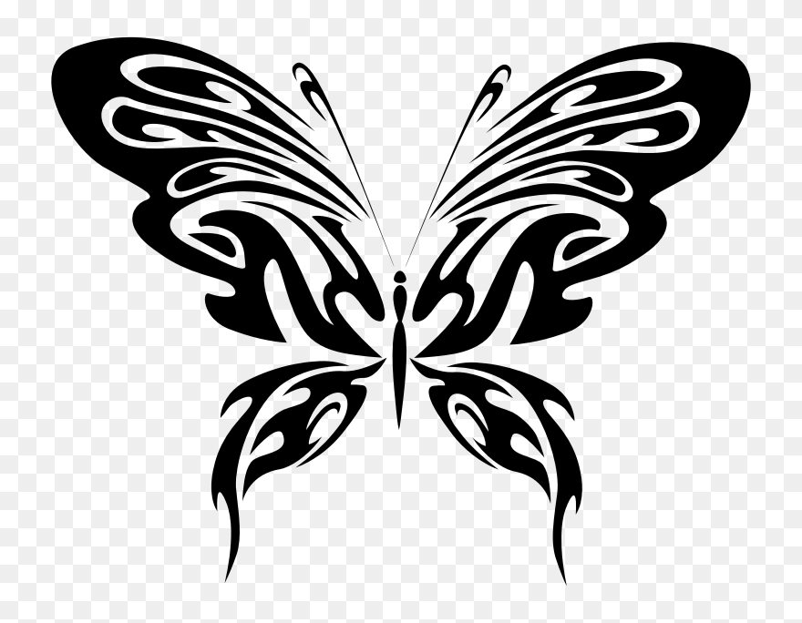 Butterfly Line Art - Black And White Butterfly Clipart - Png Download