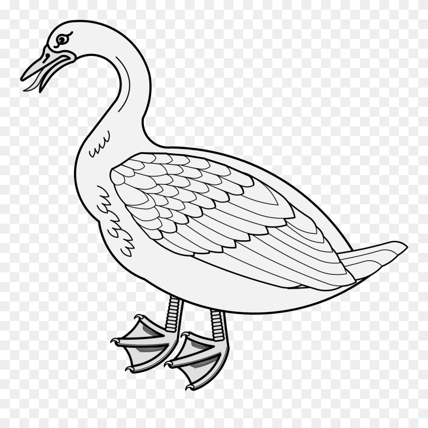 Duck , Png Download - Goose Clipart