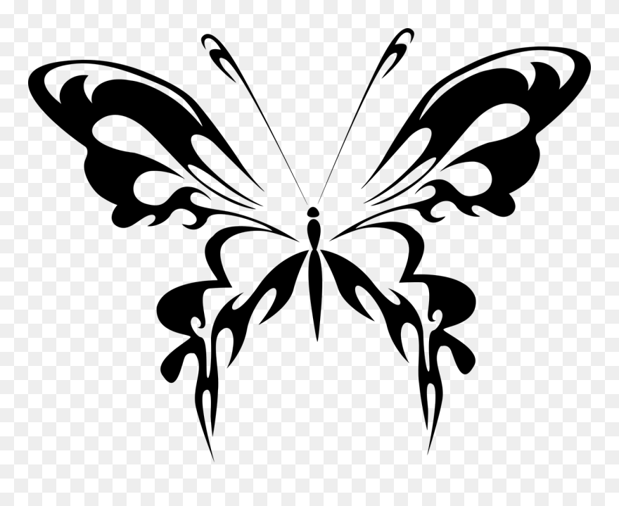 Butterfly Black And White Transparent Background Clipart
