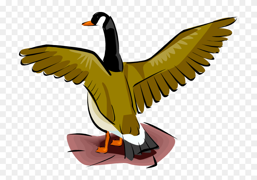 Duck Clipart