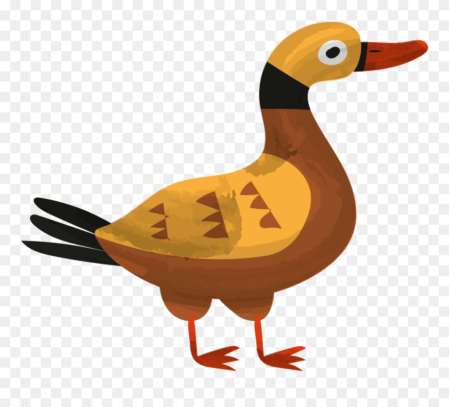 Seaduck Clipart