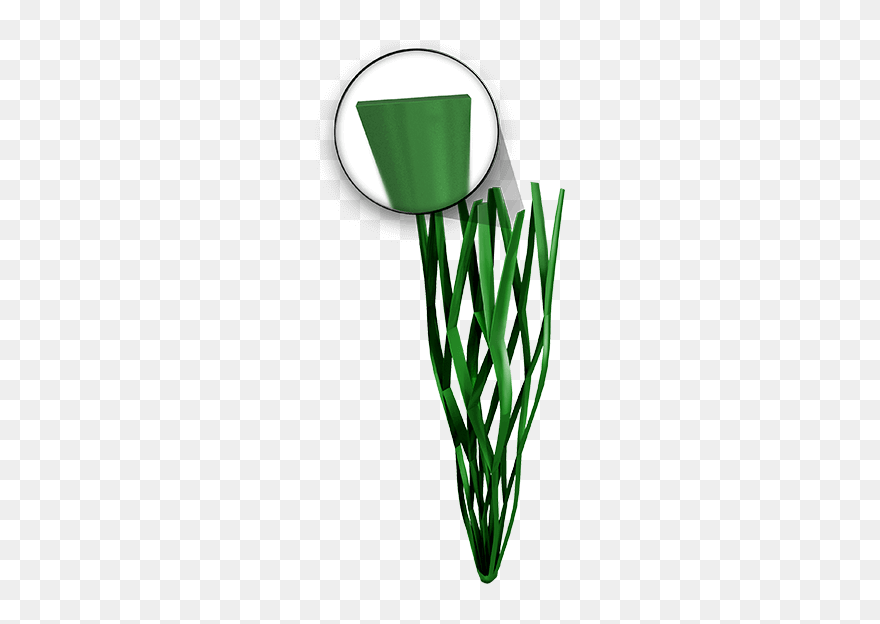 Grass Clipart