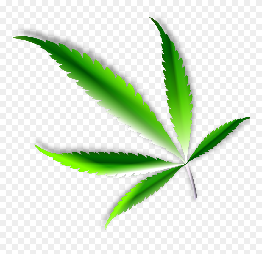 Weed Flower Clipart Jpg Freeuse Stock Clipart - Leaf With Design Png Transparent Png