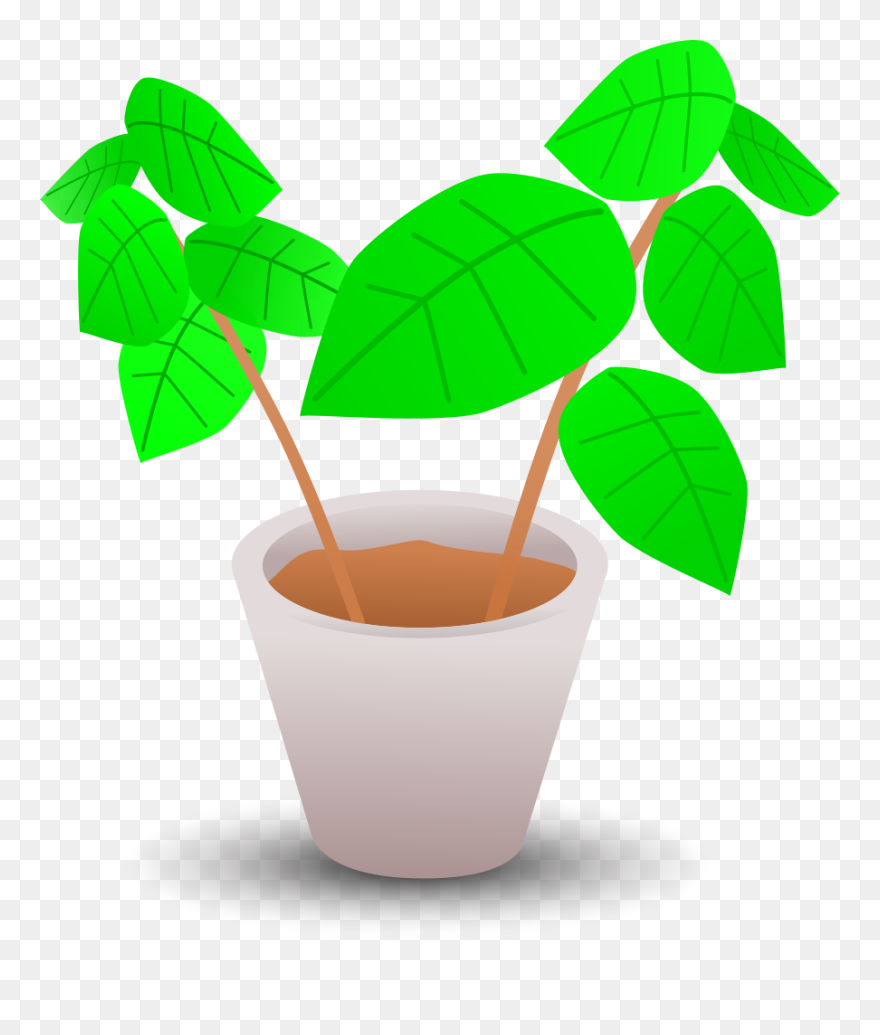 Plant In Pot Clipart - Png Download