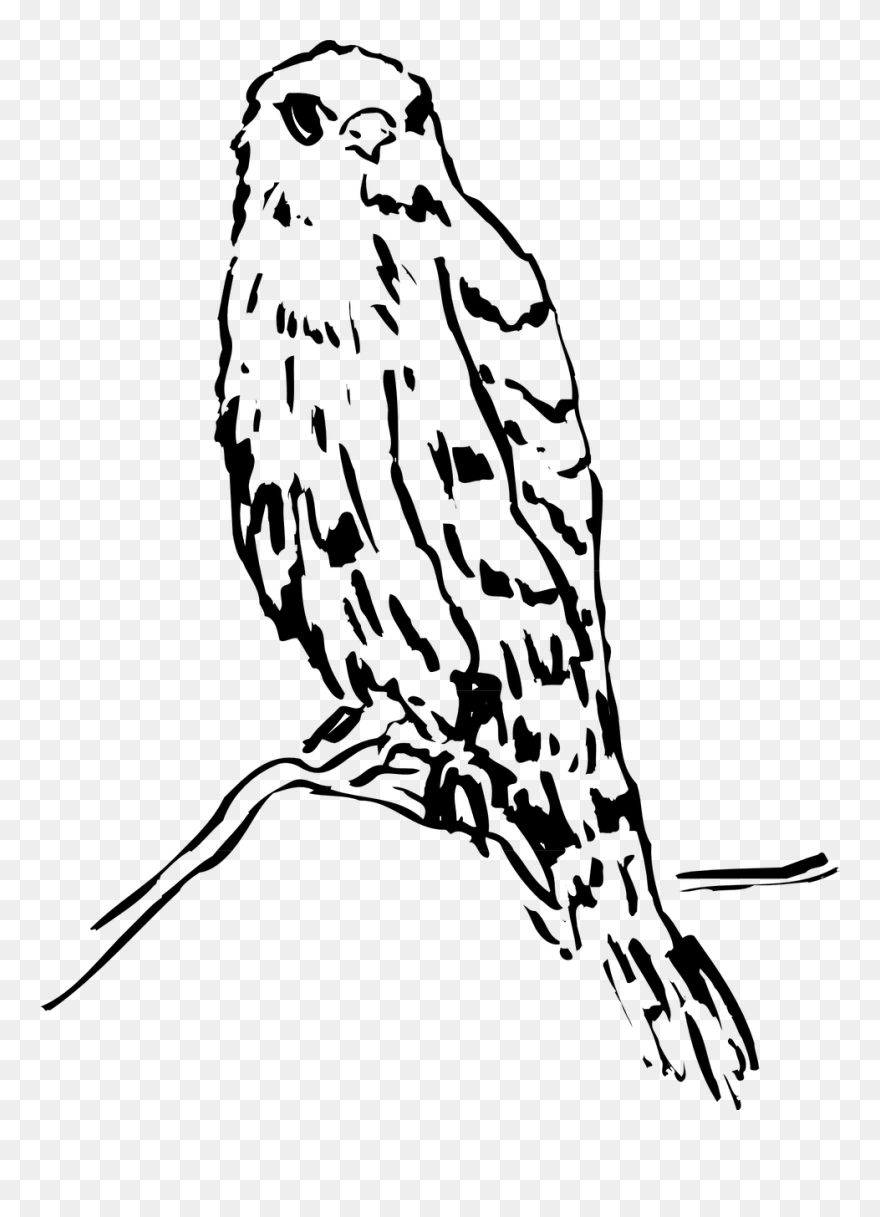 Portable Network Graphics Clipart