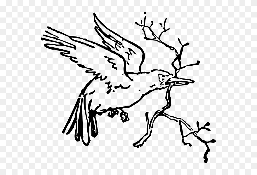 Carrying A Branch - Bird With Twig Clipart In Black N White - Png Download