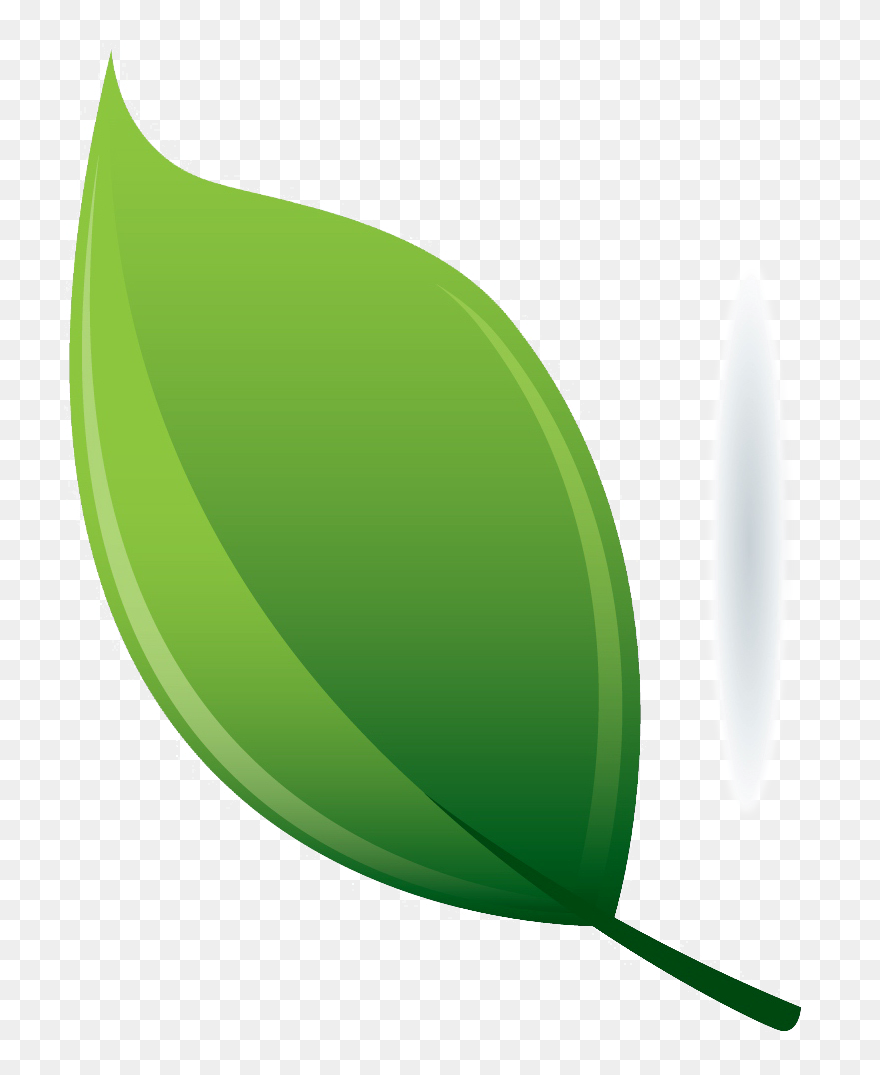 Clip Art - Png Download