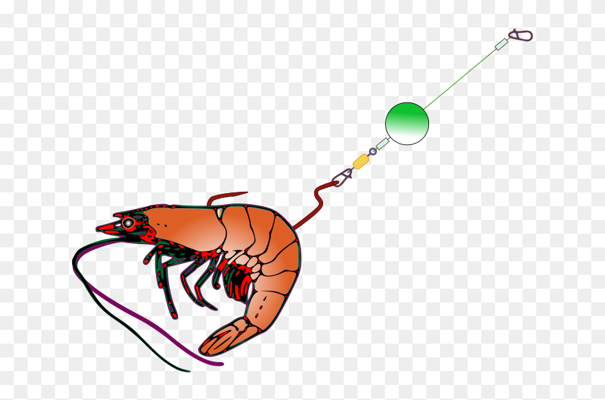 Transparent Angler Clipart - Bait For Fishing Clipart - Png Download