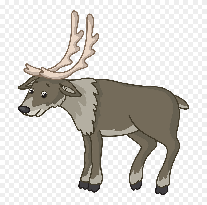 Reindeer Clipart - Cartoon - Png Download