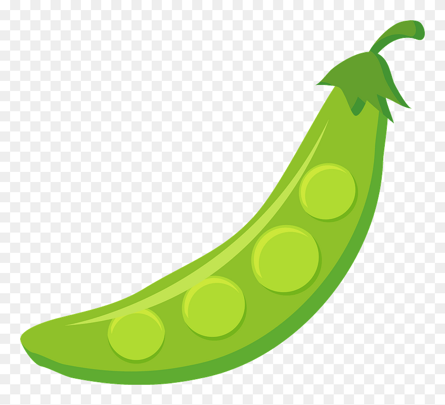 Pea Vegetable Clipart - えん どう 豆 イラスト 無料 - Png Download