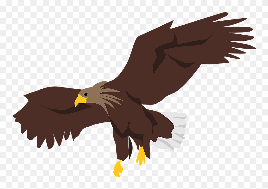 Eagle Bird Clipart - ワシ イラスト フリー - Png Download
