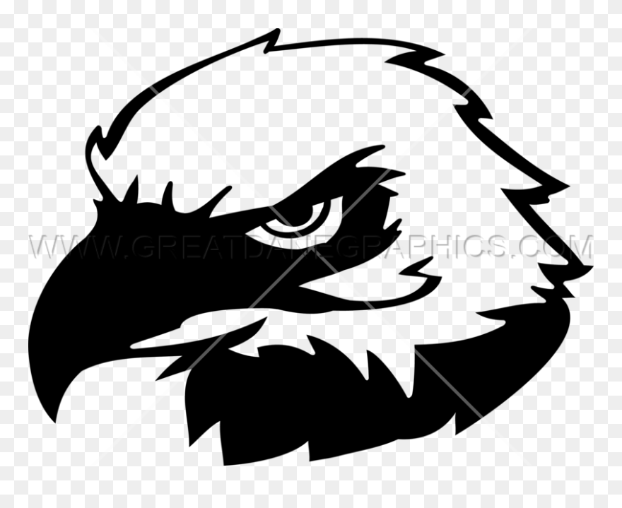 Bald Eagle Clip Art - Black And White Eagle Head - Png Download