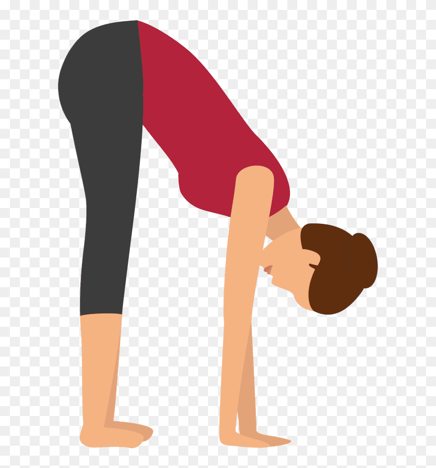 Standing Forward Bend Pose - Stretching Clipart