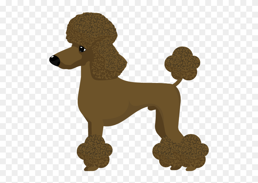 Standard Poodle Clipart