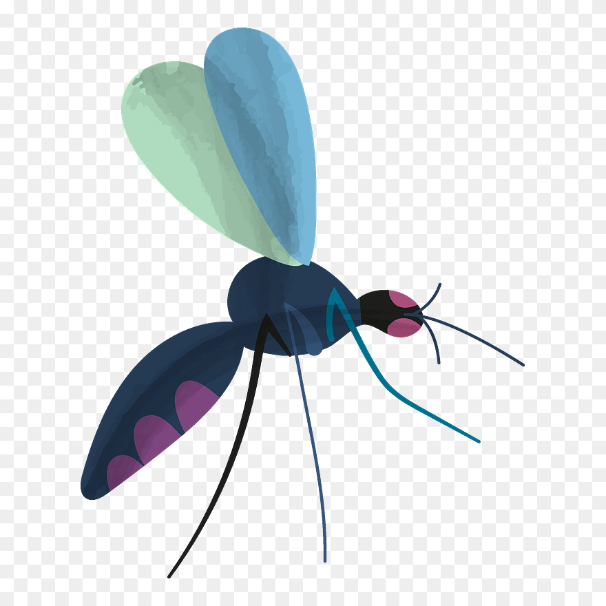 Mosquito Clipart - Net-winged Insects - Png Download