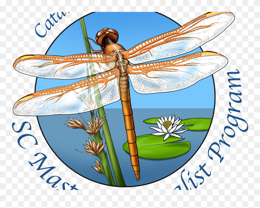 South Carolina Master Naturalist Clipart