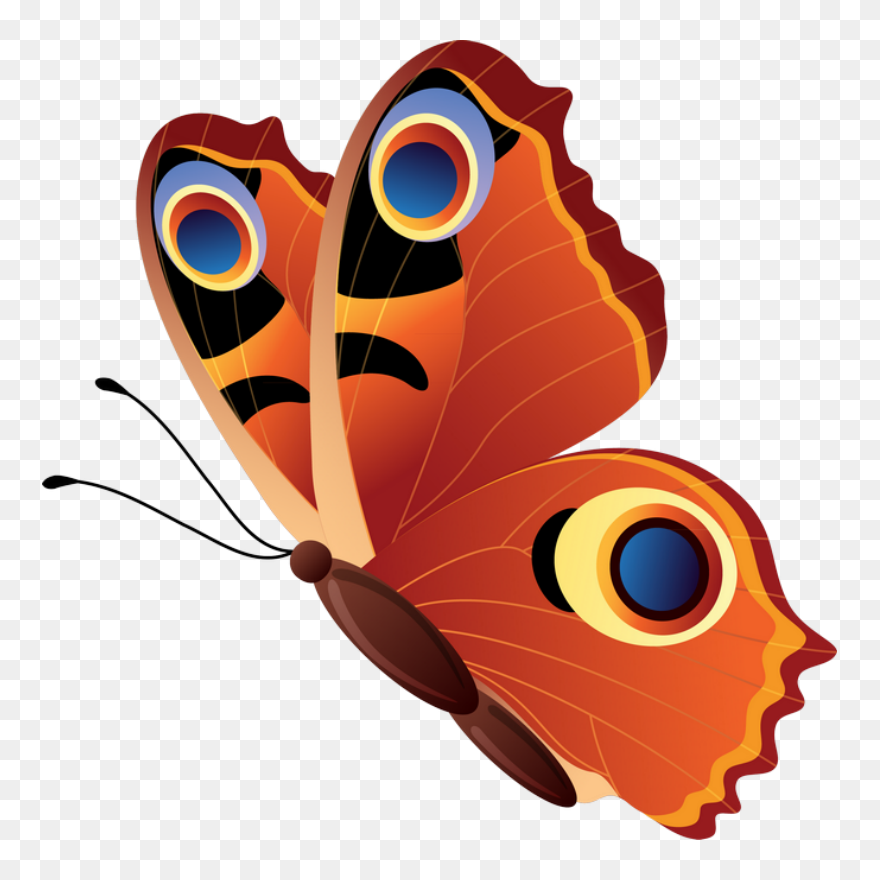 Бабочка Павлиний Глаз Рисунок Clipart