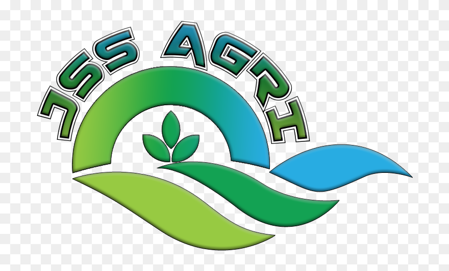 Transparent College Clipart Png