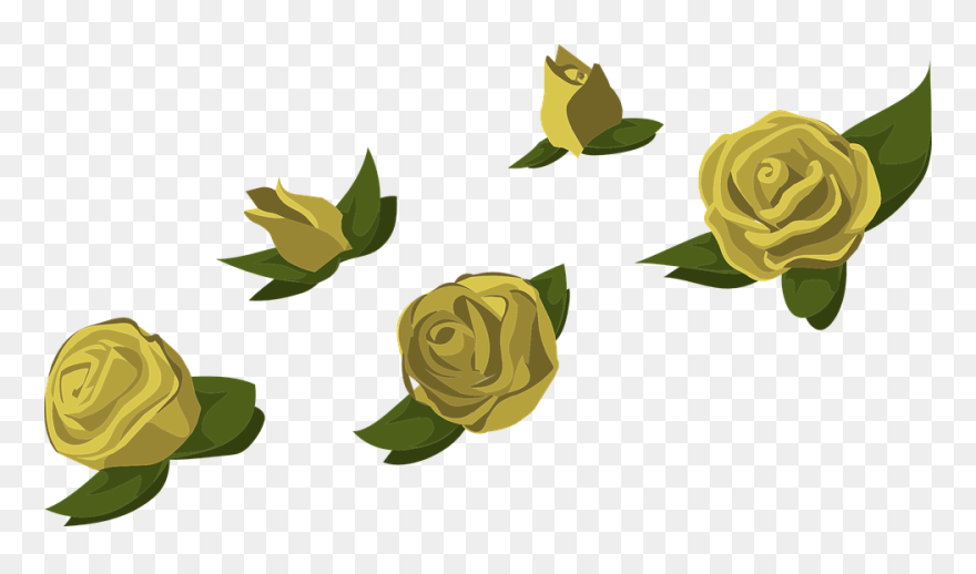 Flower Buds Transparent Clipart