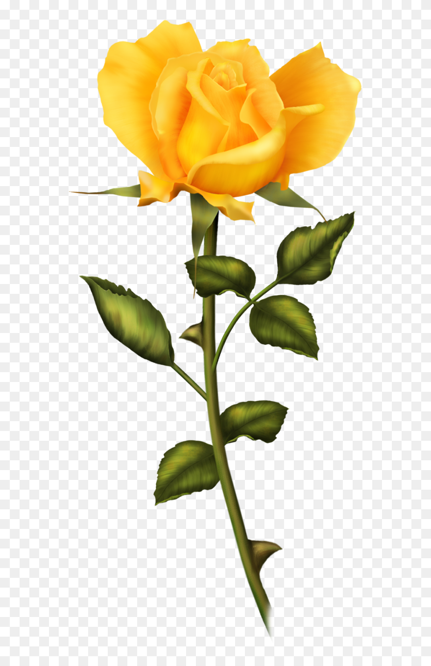 Good Morning Wednesday Puppie Clipart