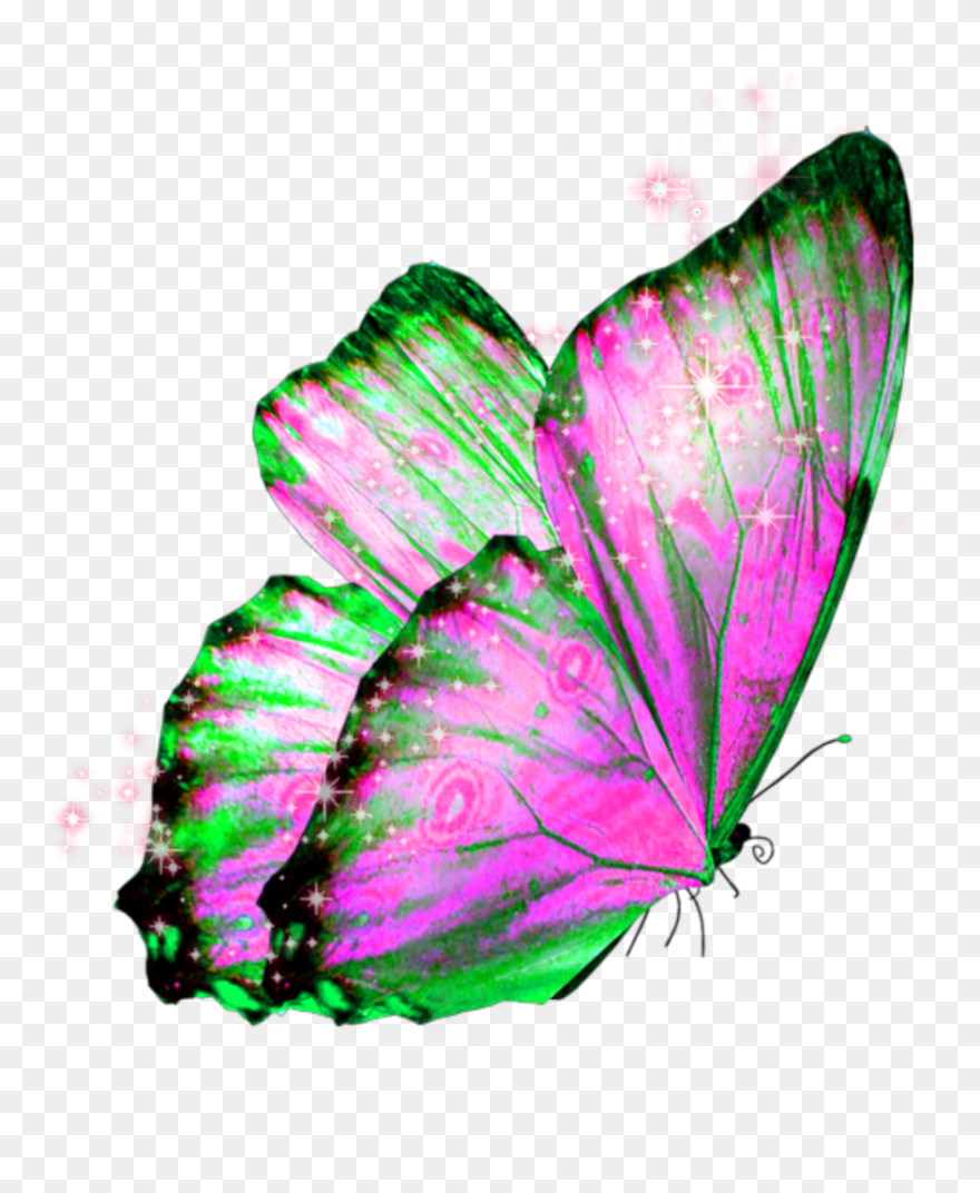#butterfly #wings #butterflywings #fairy - Transparent Background Butterfly Png Clipart