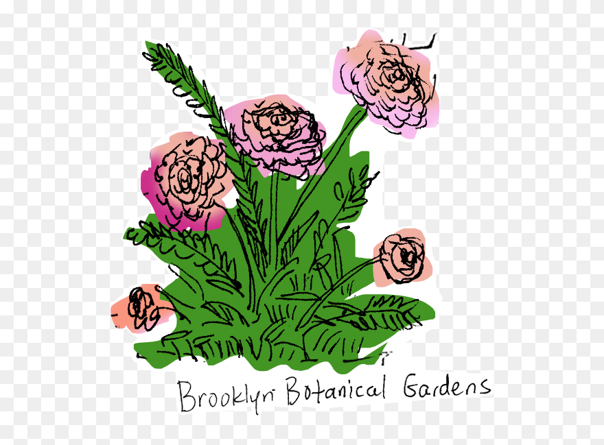 Floribunda Clipart
