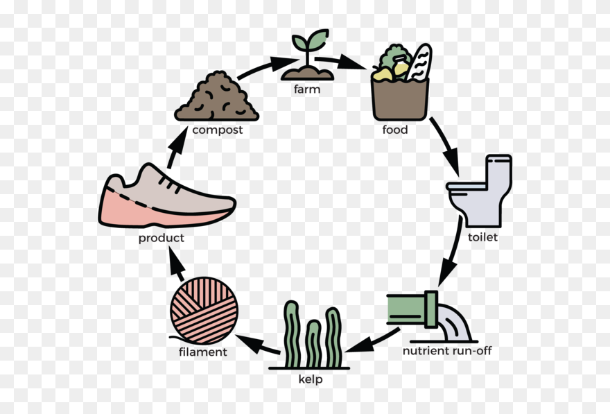 Transparent Sea Kelp Clipart - Raw Material Cartoon Shoes - Png Download