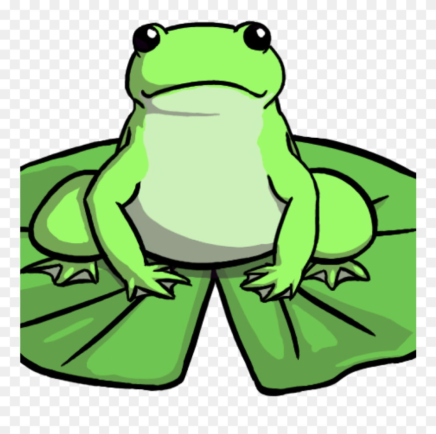 Lily Pad Clipart Image Of Frog On Lily Pad Clipart - Drawing Of A Frog On A Lily Pad - Png Download