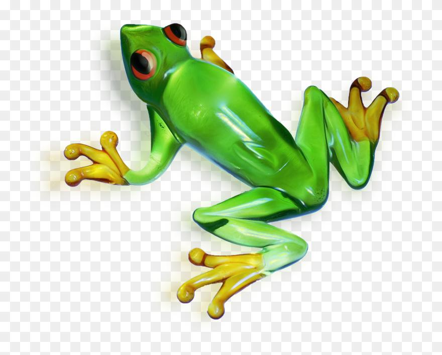 Frog Clipart Picture - Tree Frog Transparent Background - Png Download